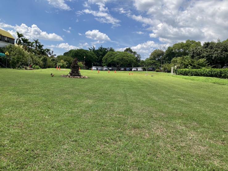 公老坪、農場、草坡活動、營火晚會